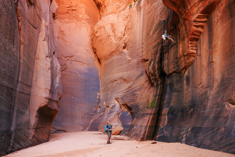 Rock Canyon and French Canyon (Zion National Park)