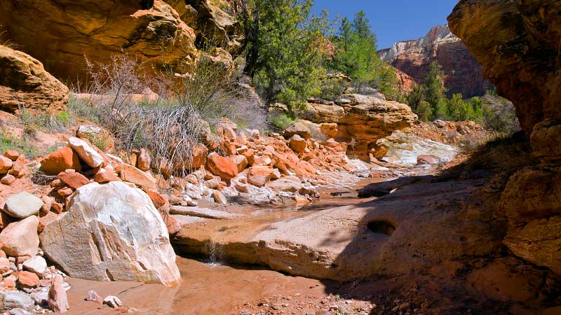 Scoggins Wash (Zion National Park)
