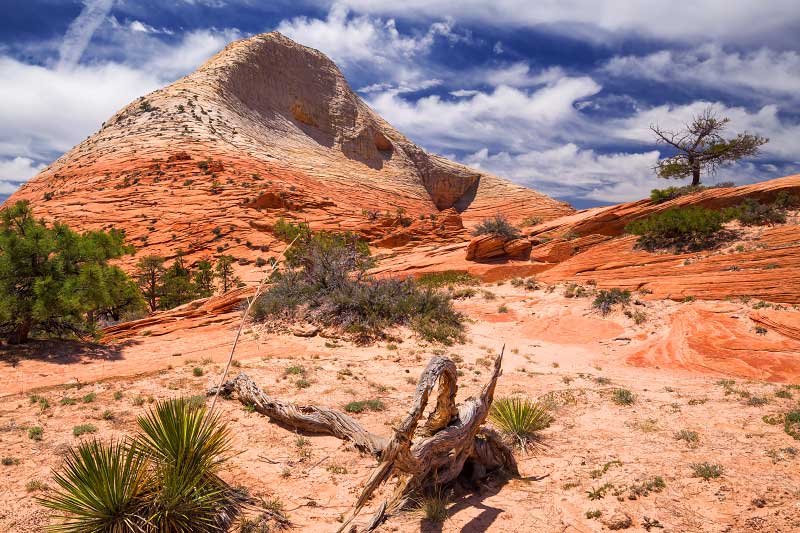 South Guardian Angel (Zion National Park)