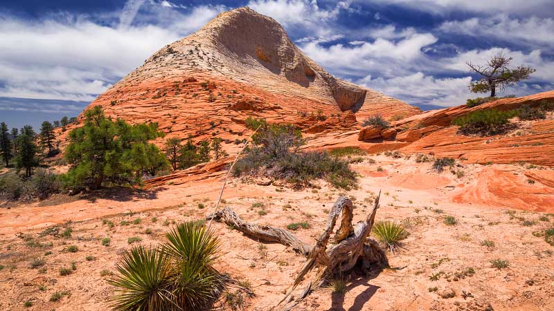 South Guardian Angel (Zion National Park)