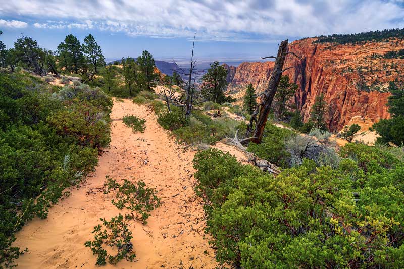 Squirrel Canyon to Water Canyon Arch (Zion National Park)