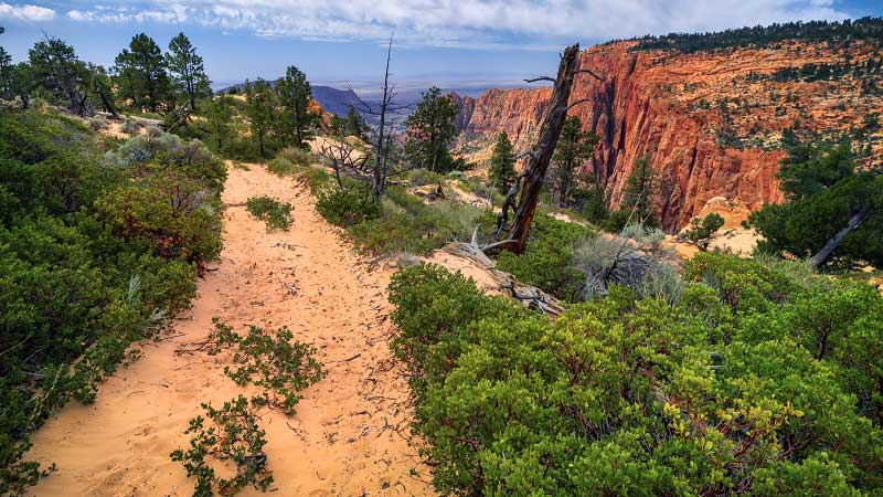 Squirrel Canyon to Water Canyon Arch (Zion National Park)