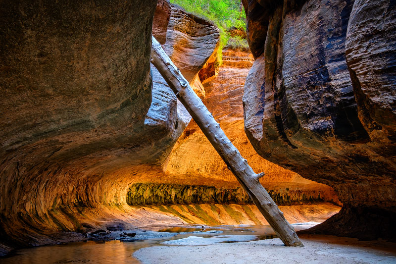 Left Fork of North Creek/The Subway (Zion National Park)