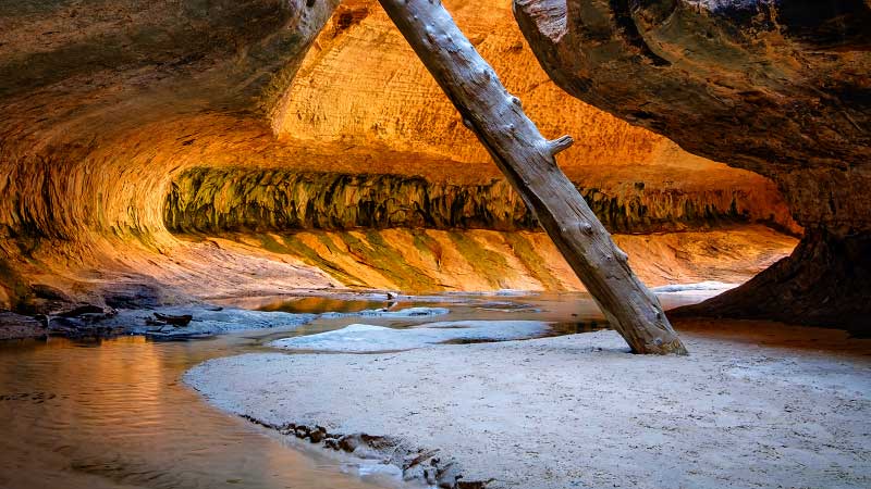 Left Fork of North Creek/The Subway (Zion National Park)