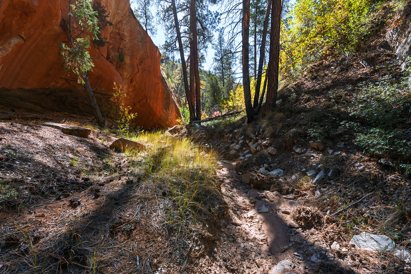 Walker Gulch (Zion National Park)