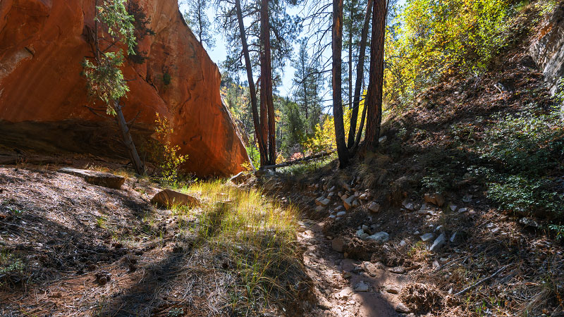 Walker Gulch (Zion National Park)
