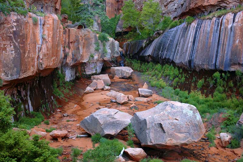 Water Canyon to Canaan Mountain (Zion National Park)