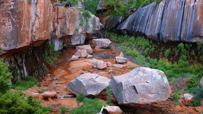 Water Canyon to Canaan Mountain (Zion National Park)