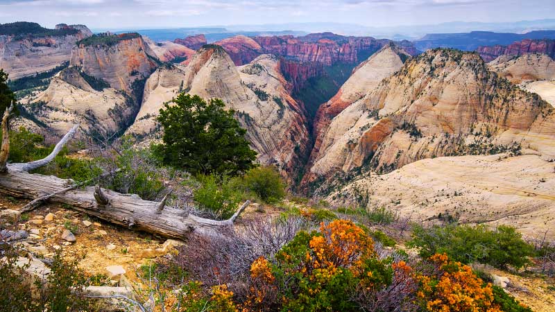 West Rim Trail (Zion National Park)