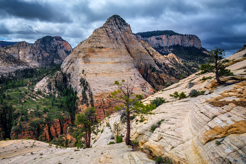 Russell Gulch to Wildcat Canyon Traverse (Zion National Park)