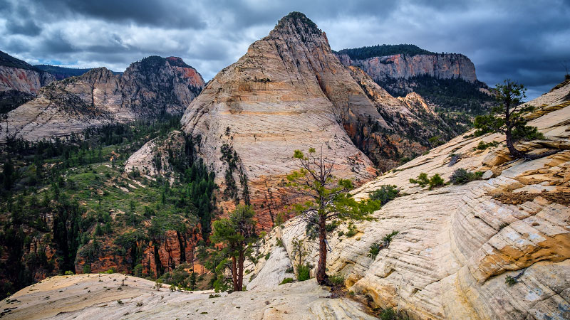 Russell Gulch to Wildcat Canyon Traverse (Zion National Park)